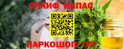 бошки Камышлов