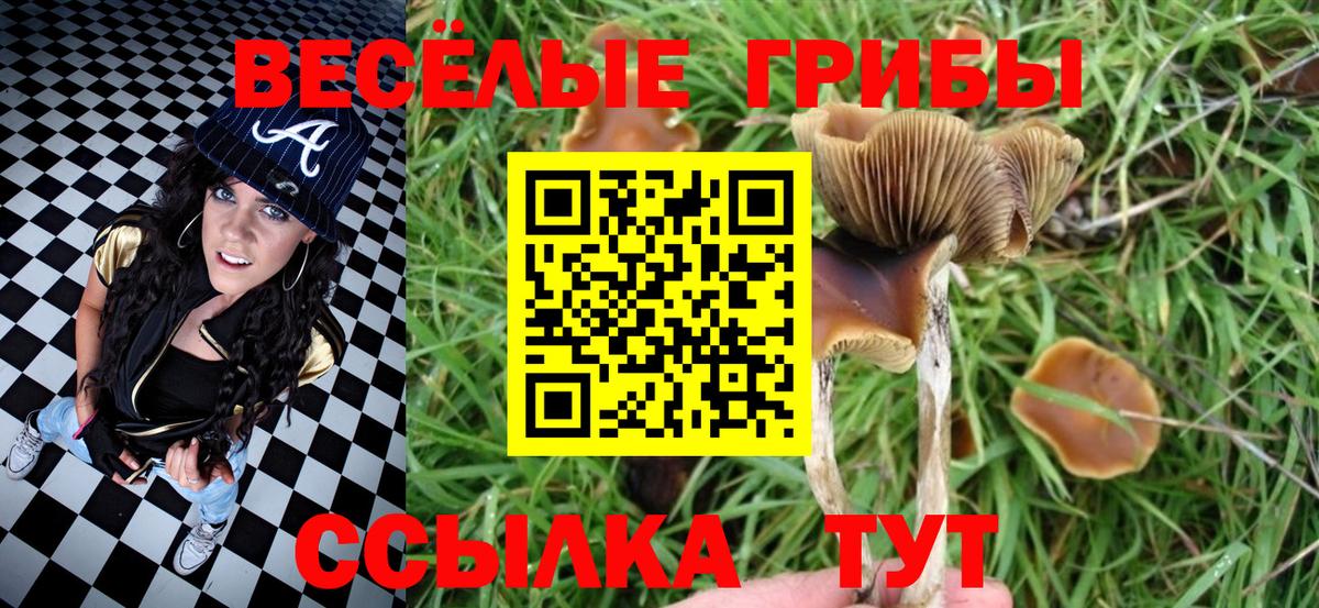 Ликино-Дулёво  Псилоцибиновые грибы ЛСД  Галлюциногенные грибы Magic Shrooms  Вход с VPN 
